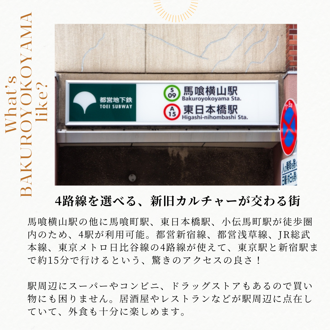本文画像