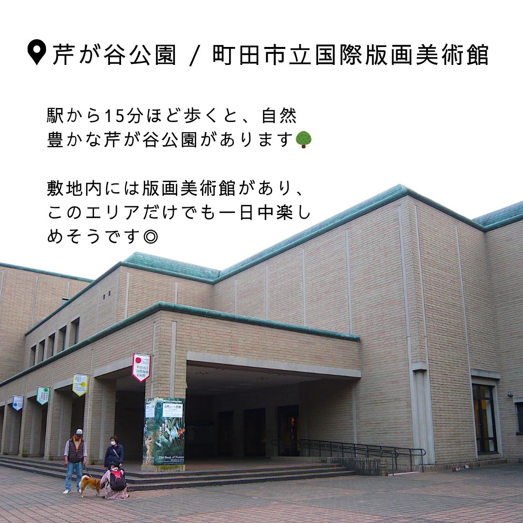 本文画像