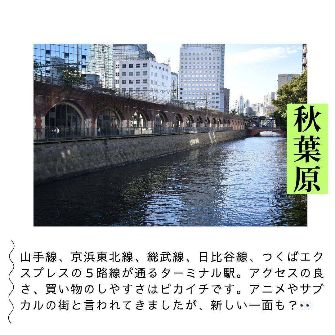 本文画像