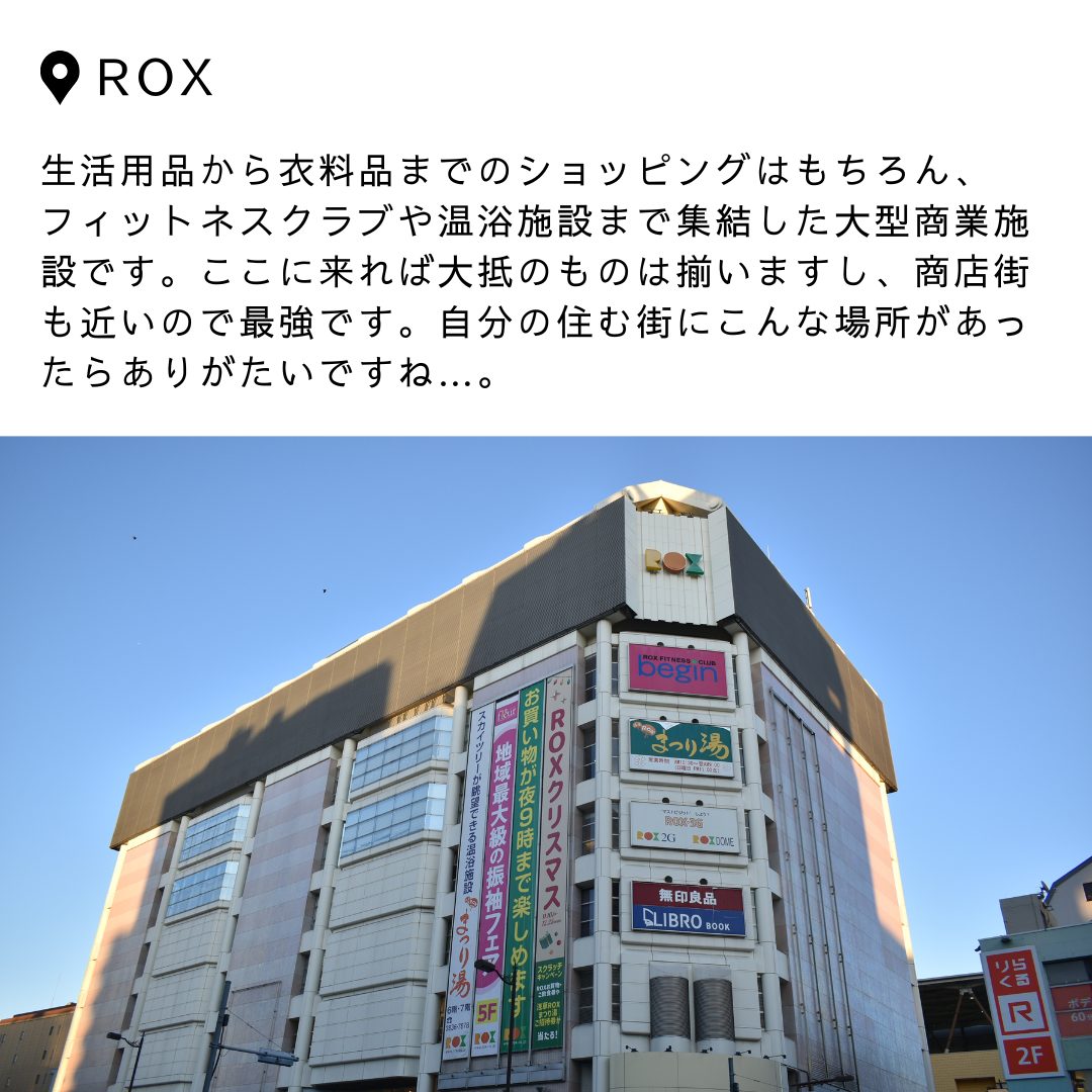 本文画像