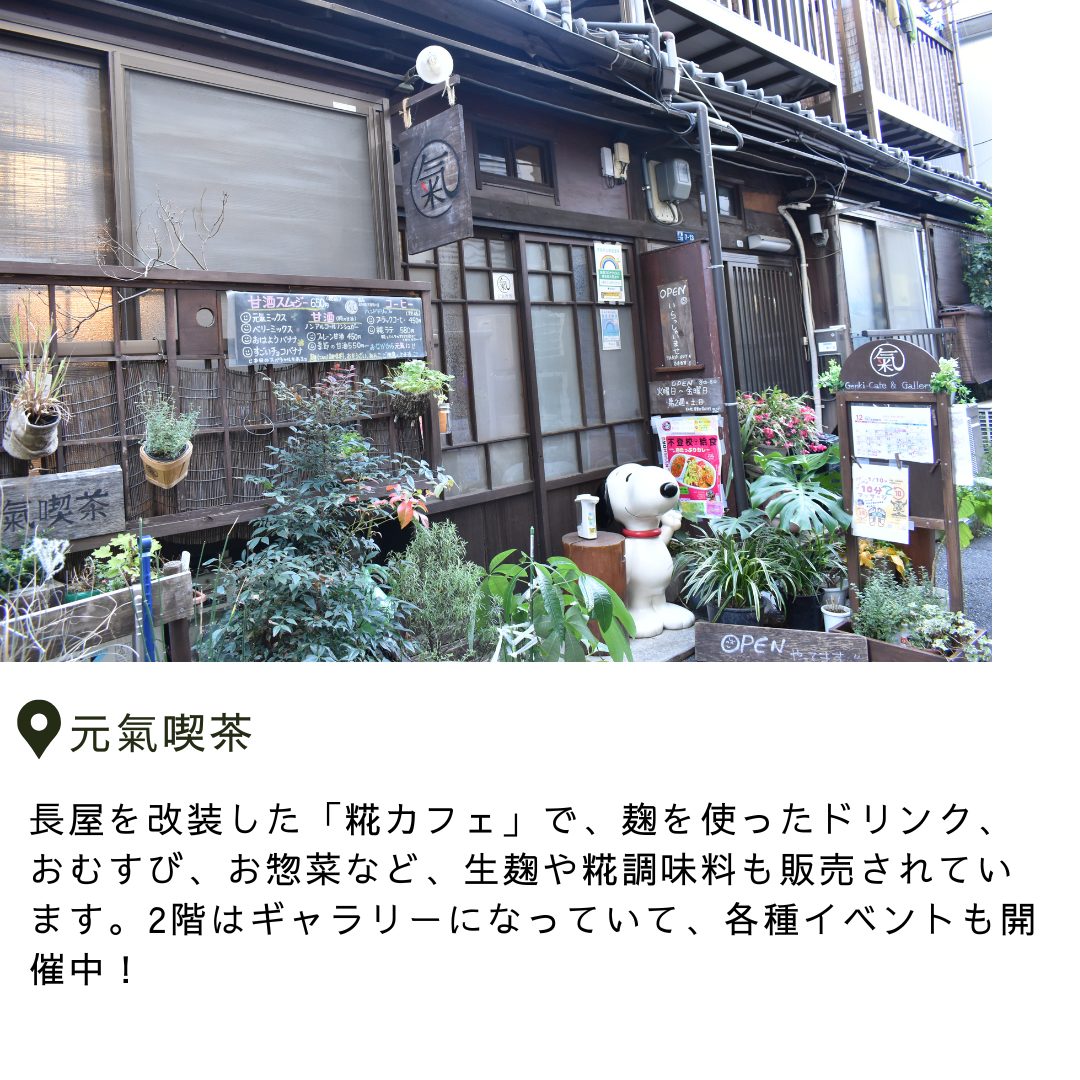 本文画像