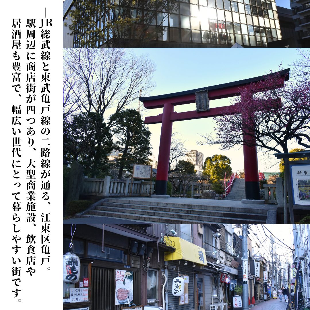 本文画像