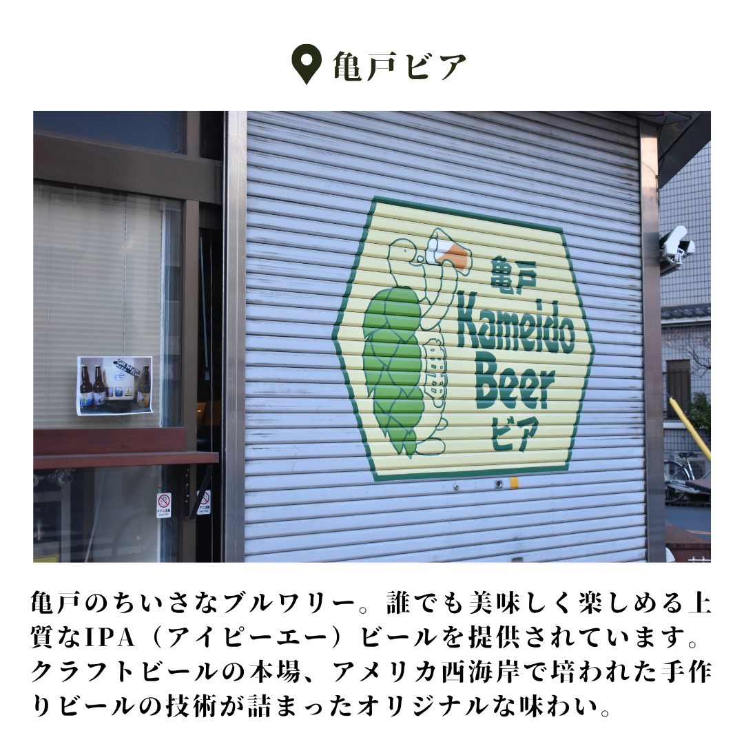 本文画像