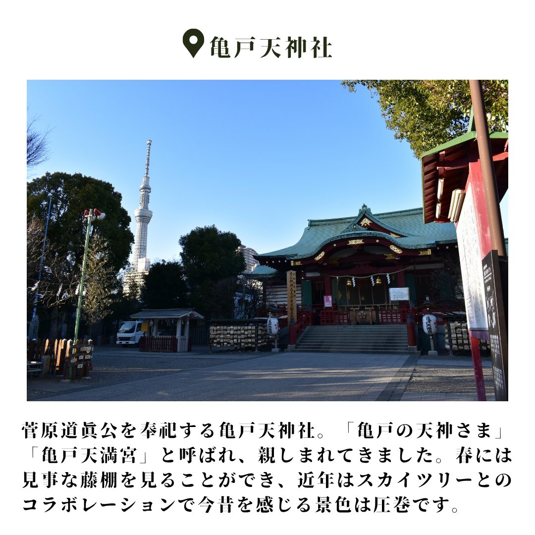 本文画像