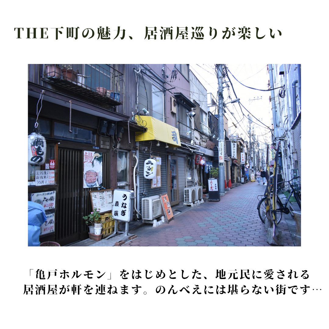本文画像