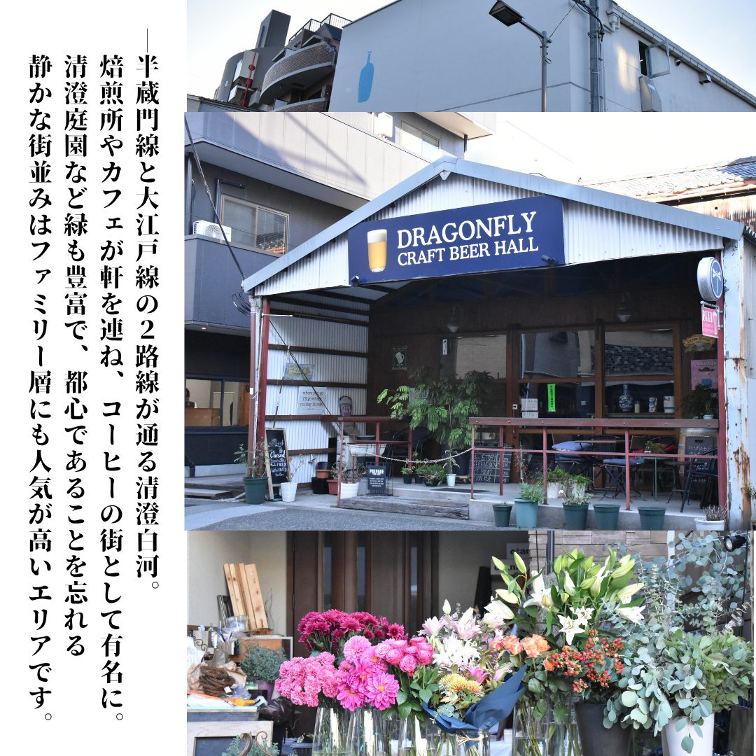 本文画像