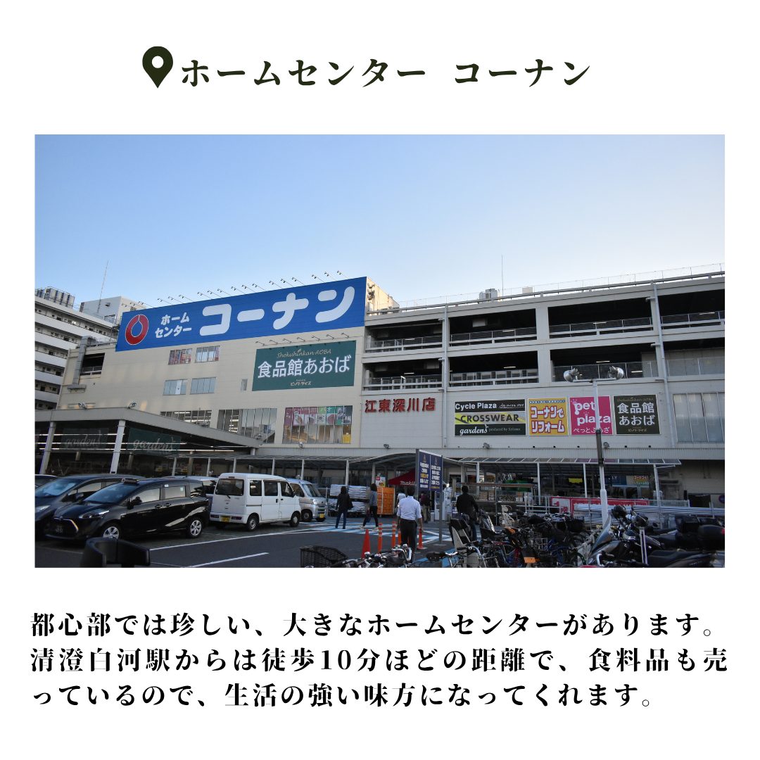 本文画像