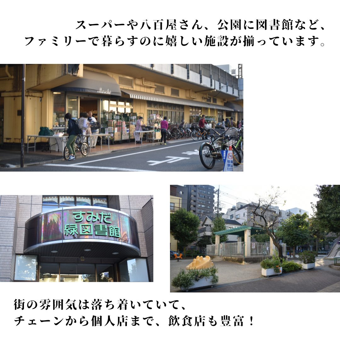 本文画像
