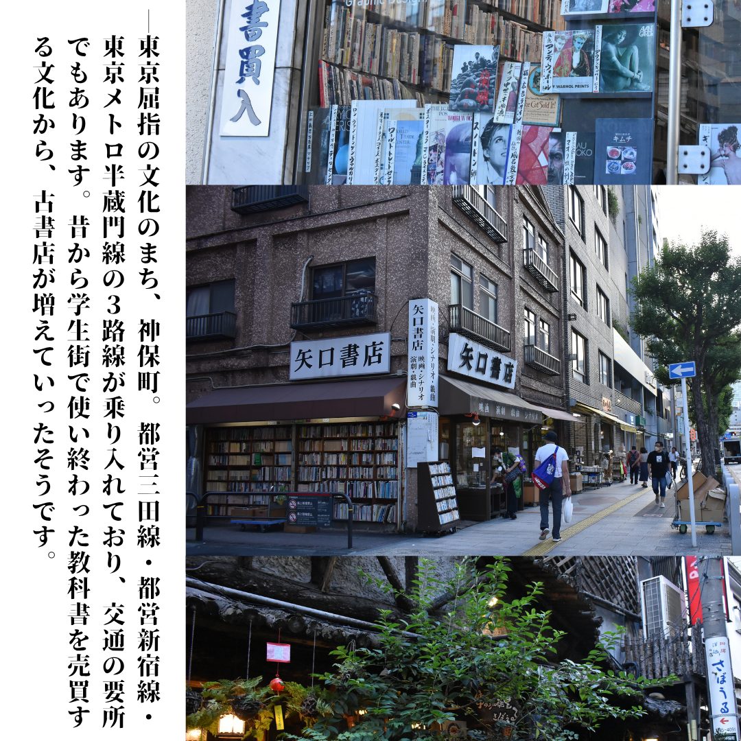 本文画像