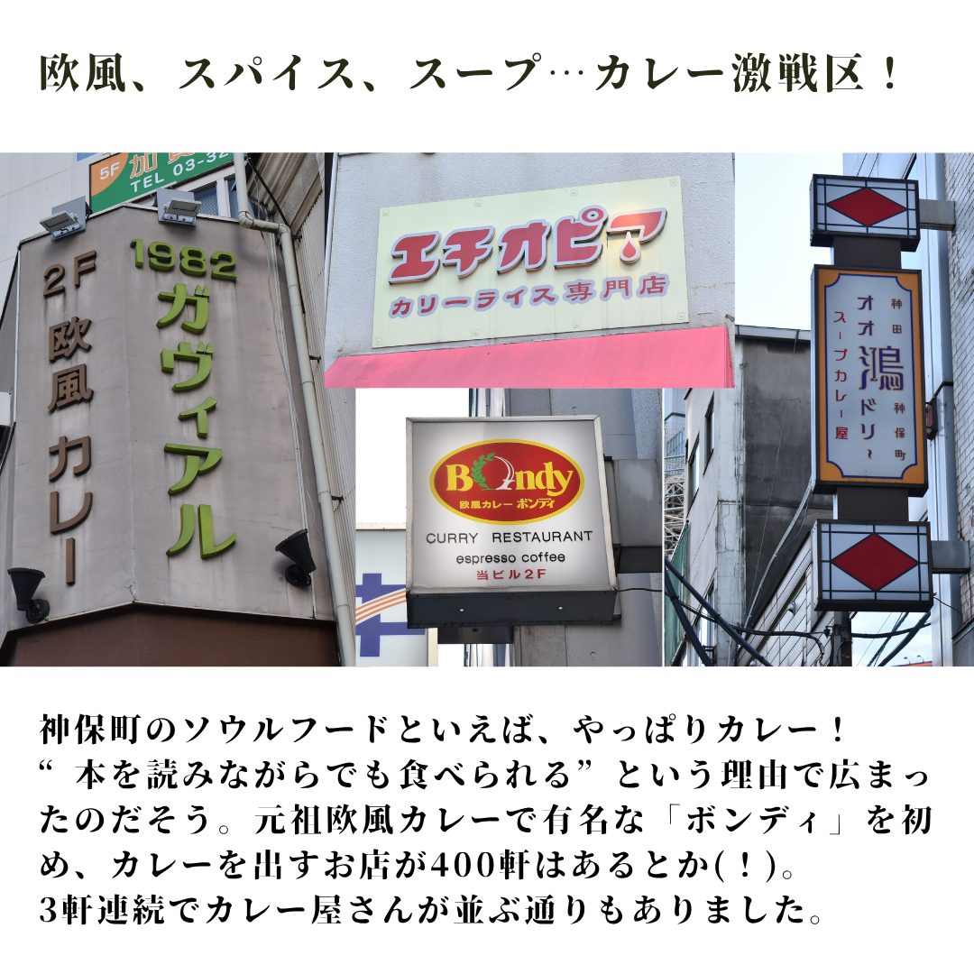 本文画像