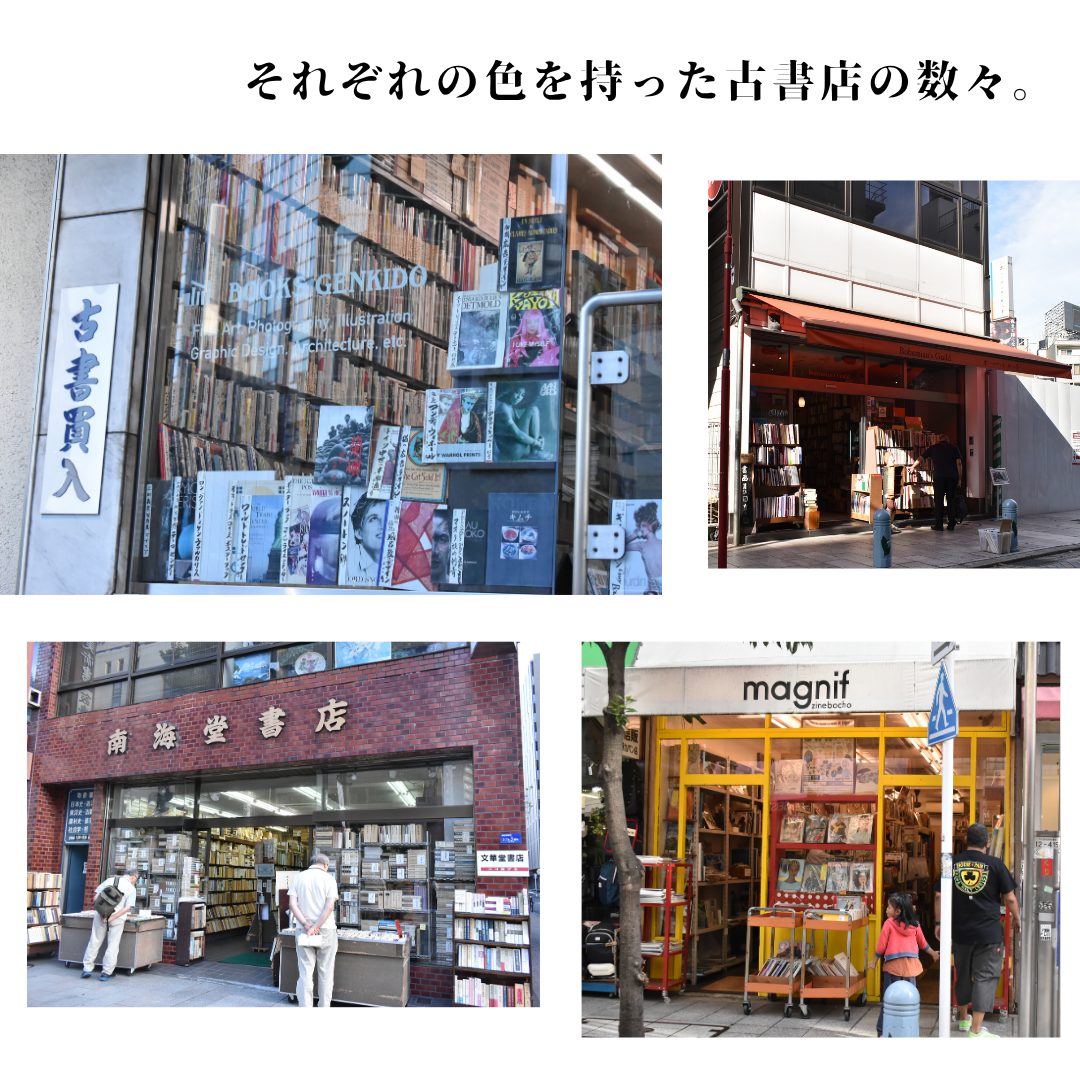 本文画像
