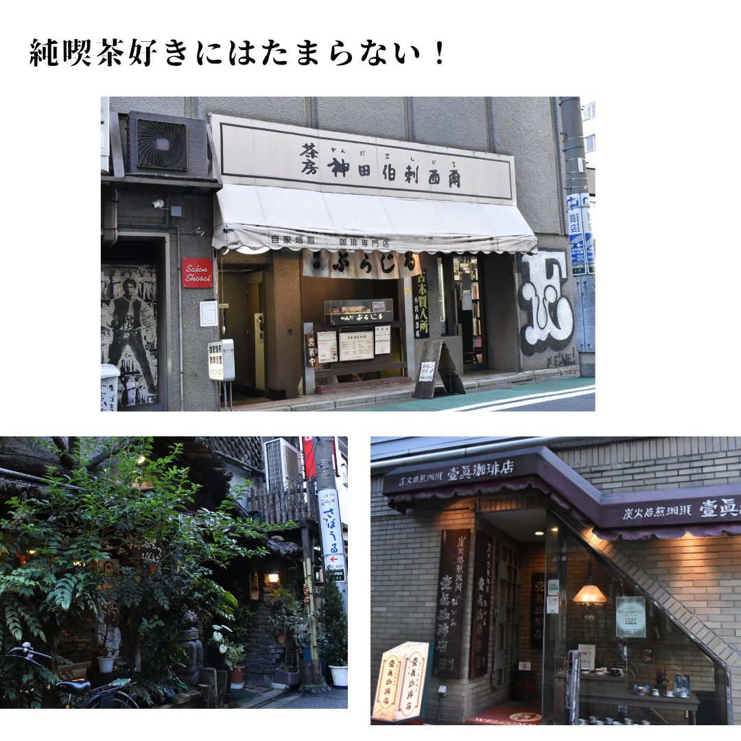 本文画像