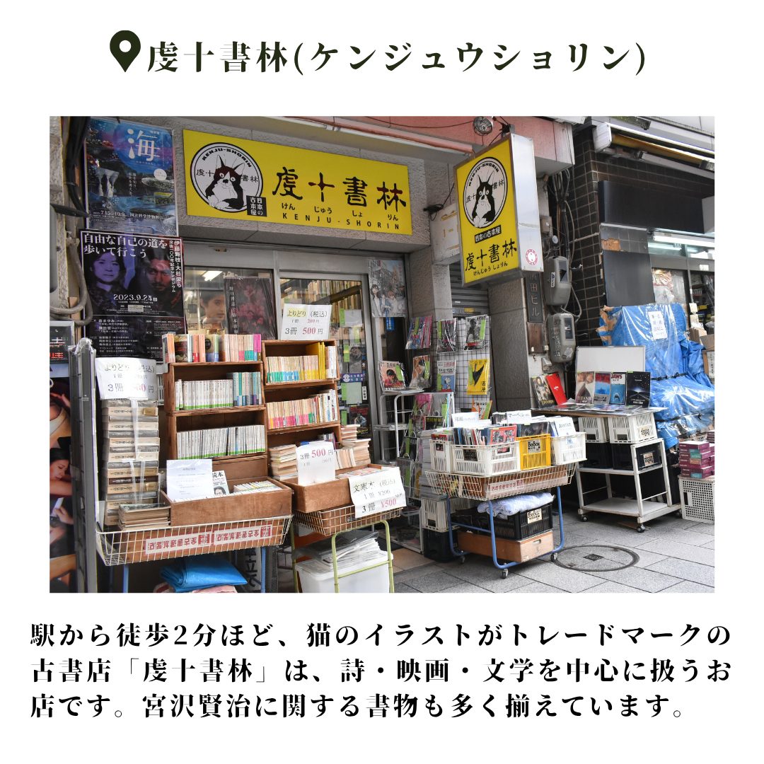 本文画像