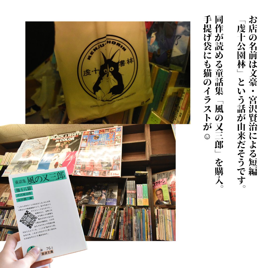 本文画像