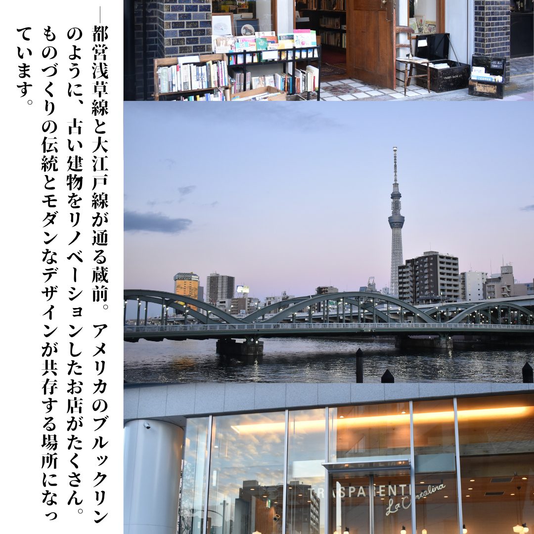 本文画像