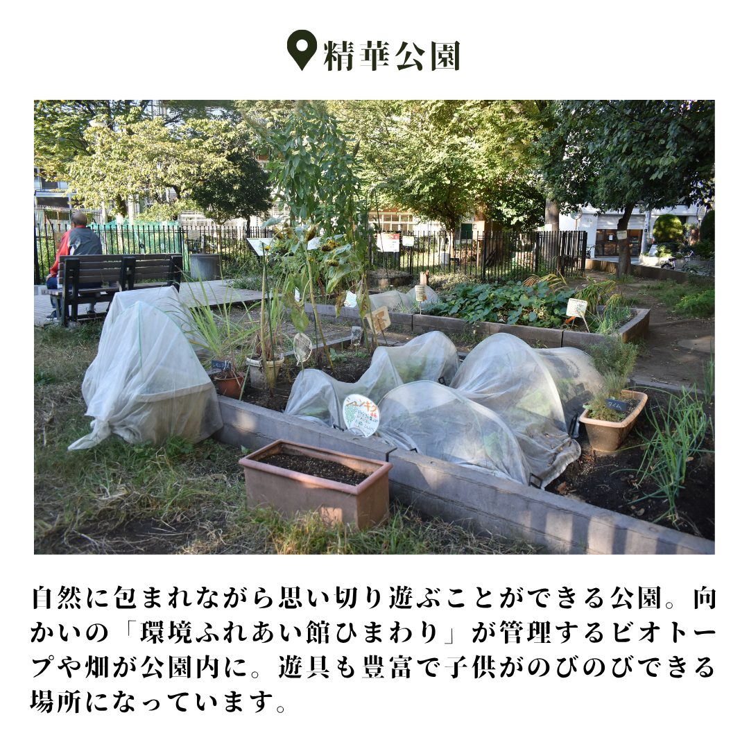 本文画像