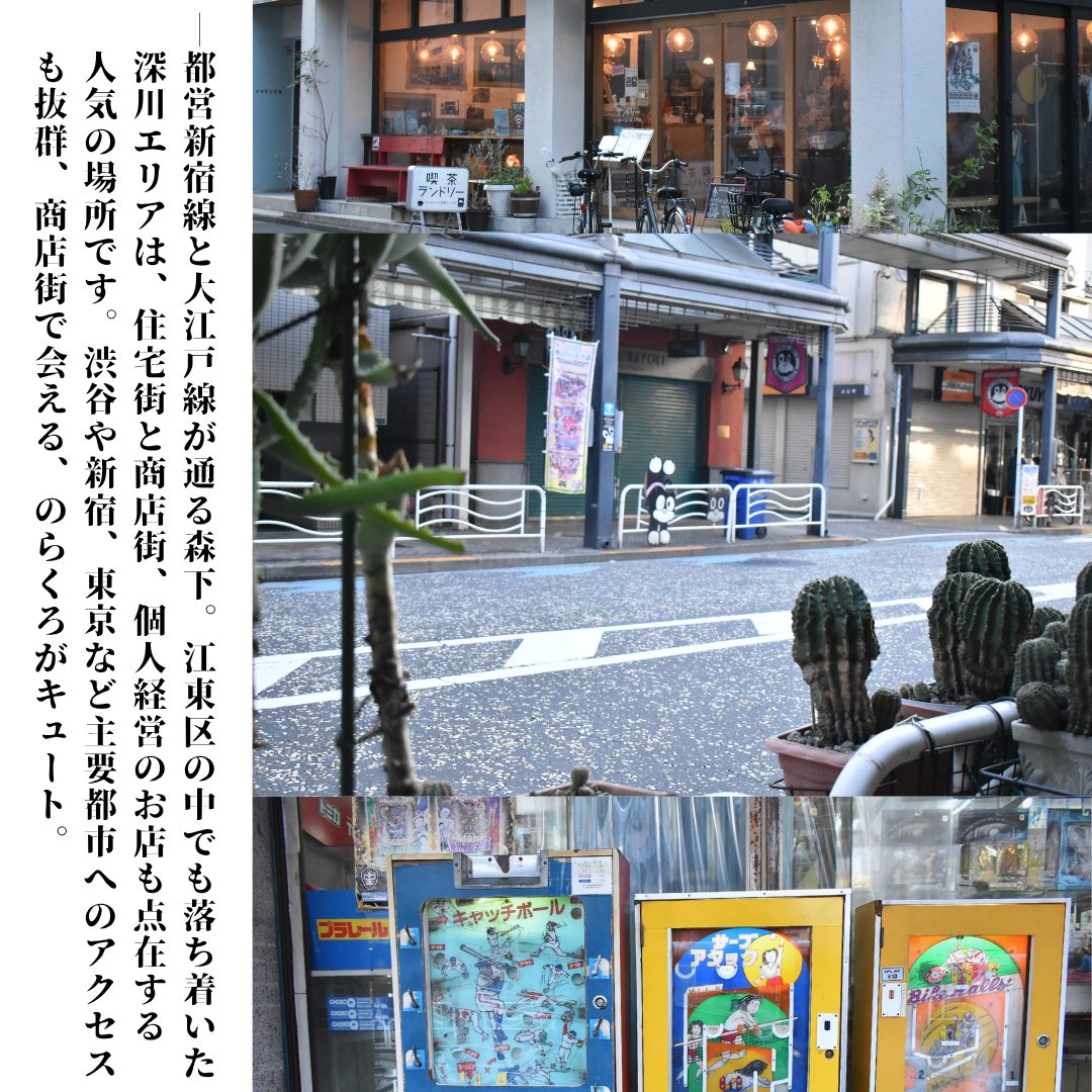 本文画像