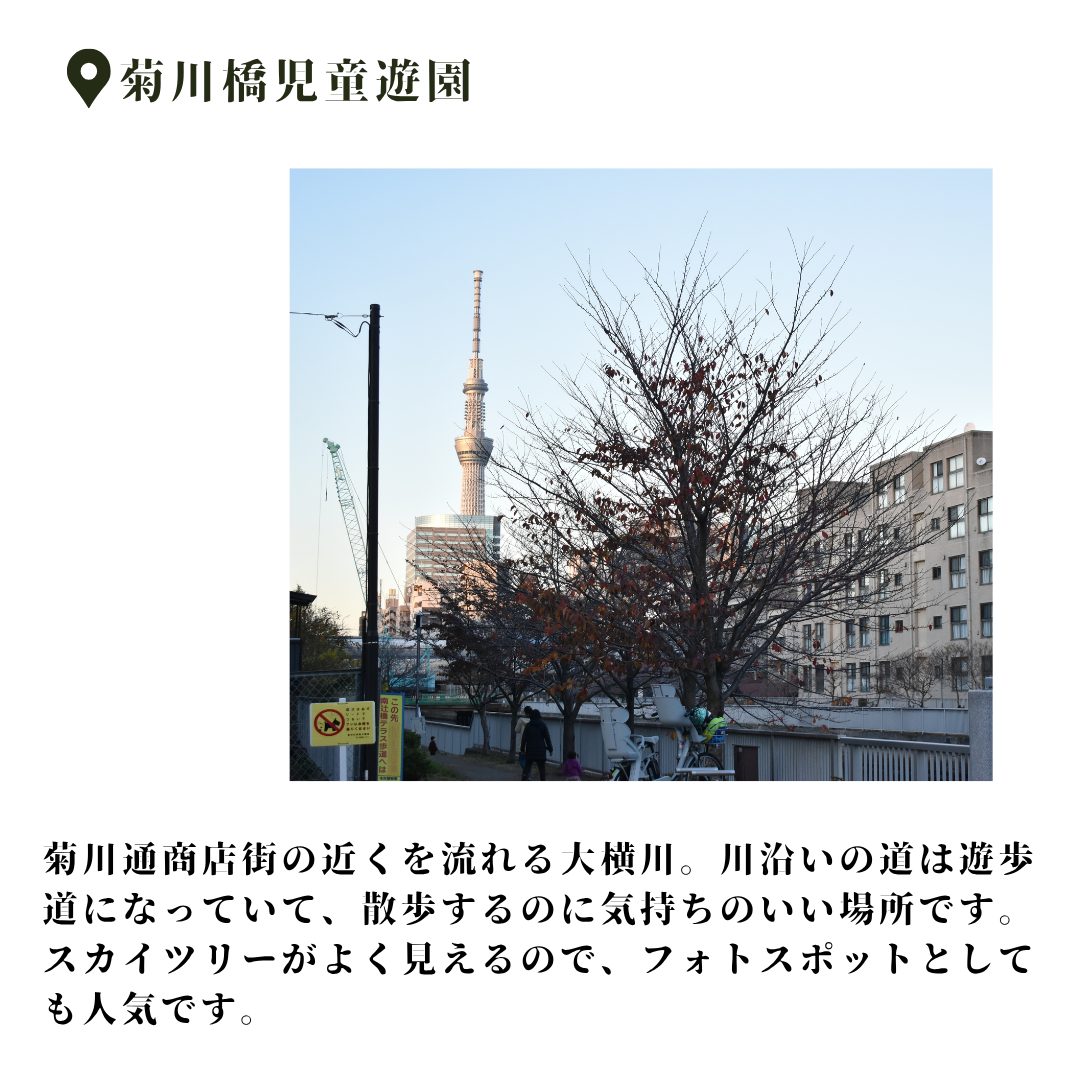 本文画像