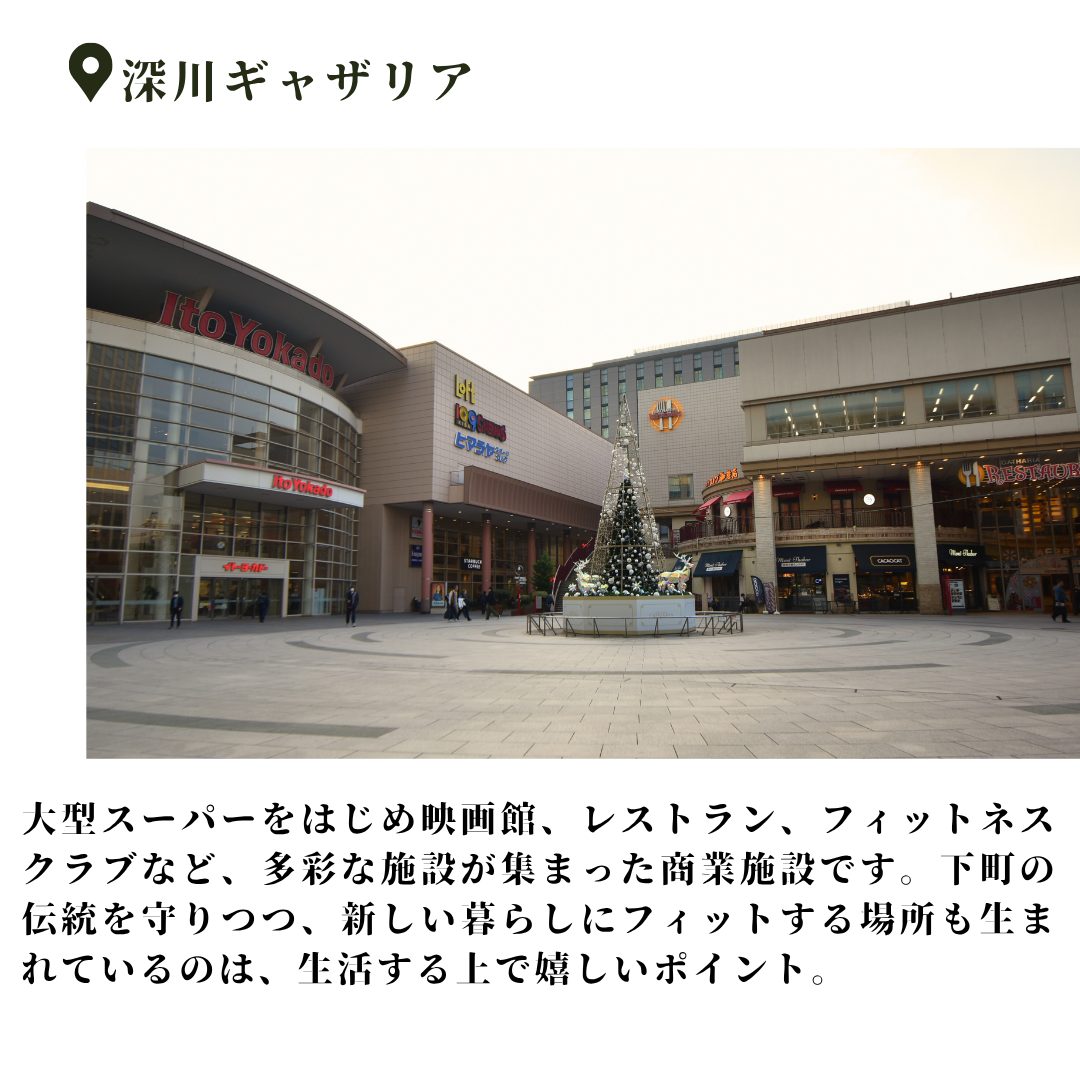 本文画像
