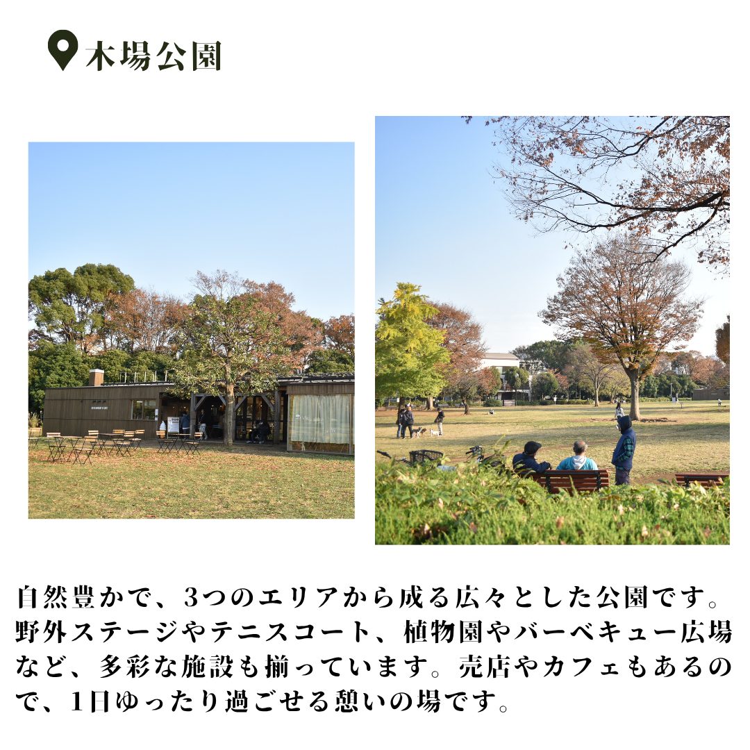 本文画像