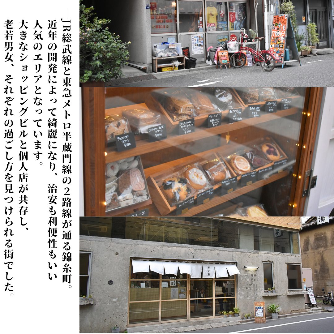 本文画像