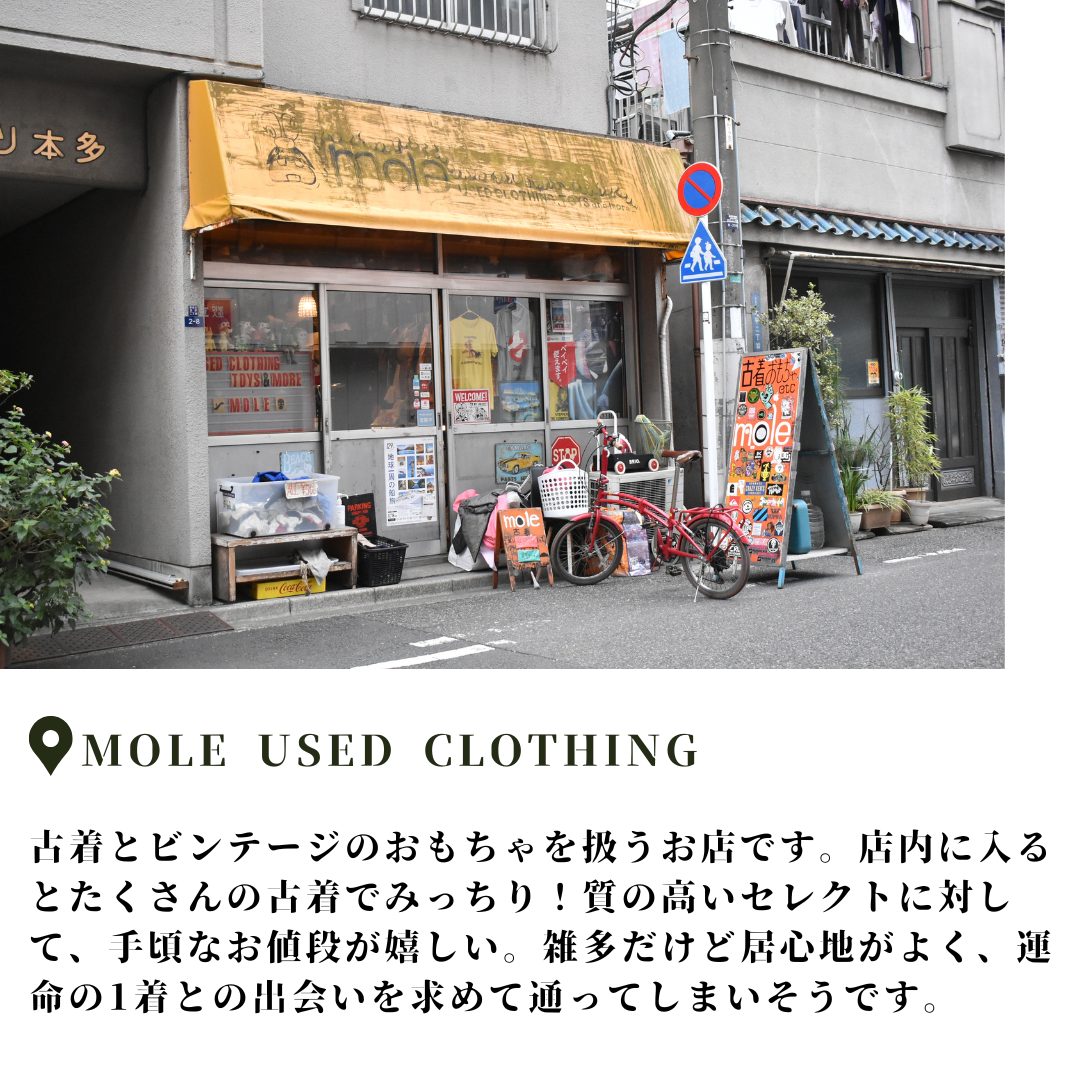 本文画像