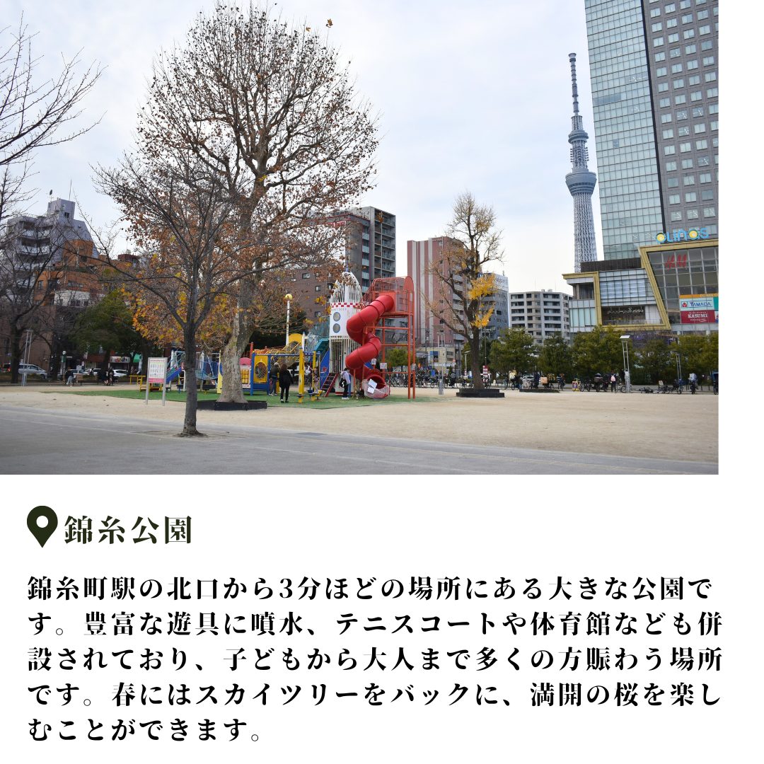 本文画像