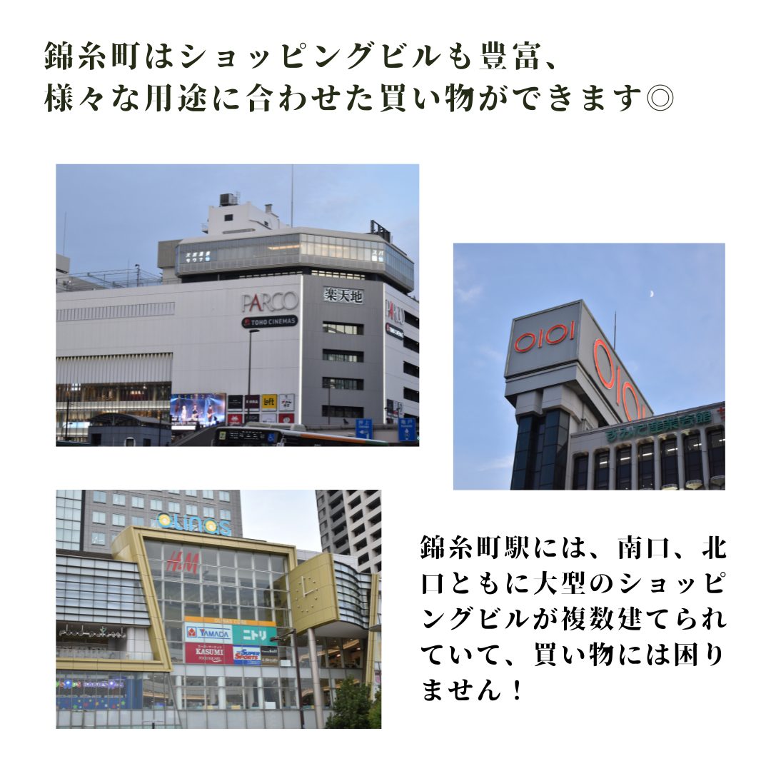 本文画像