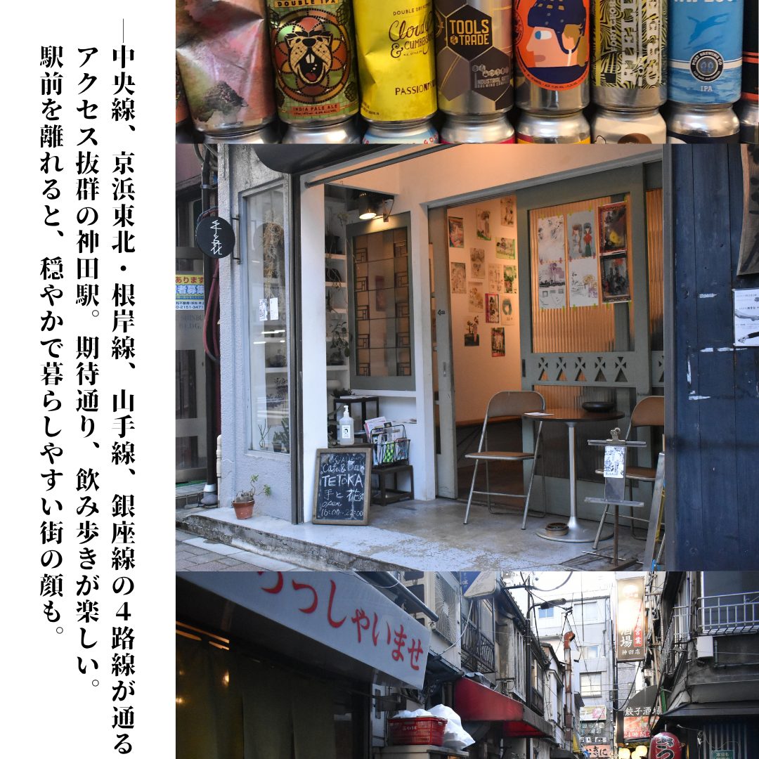 本文画像