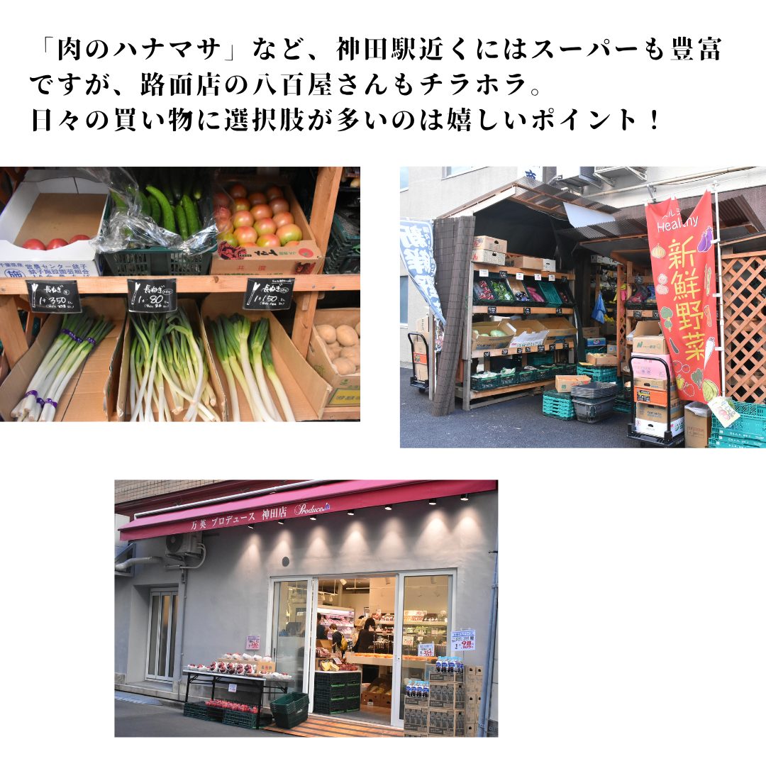 本文画像