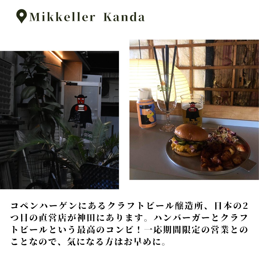 本文画像