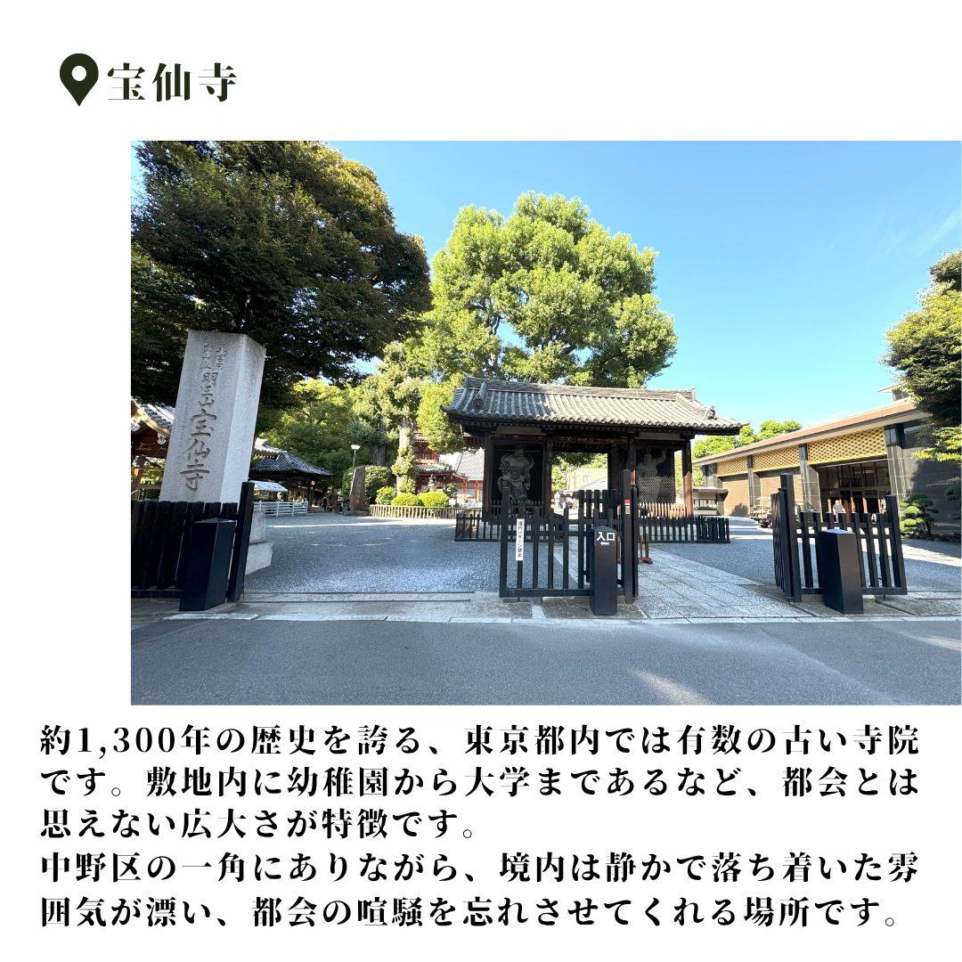 本文画像