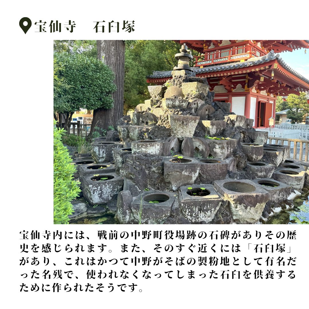 本文画像