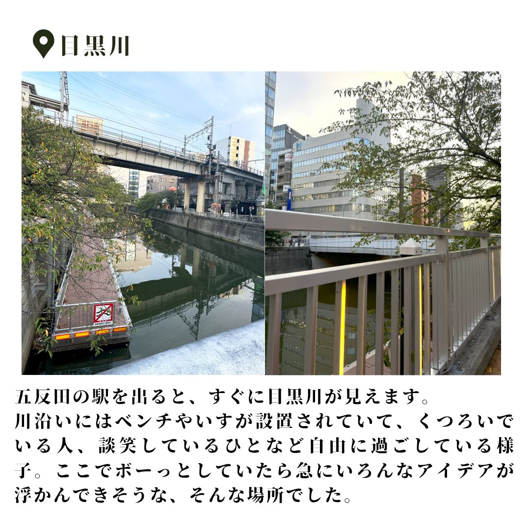 本文画像