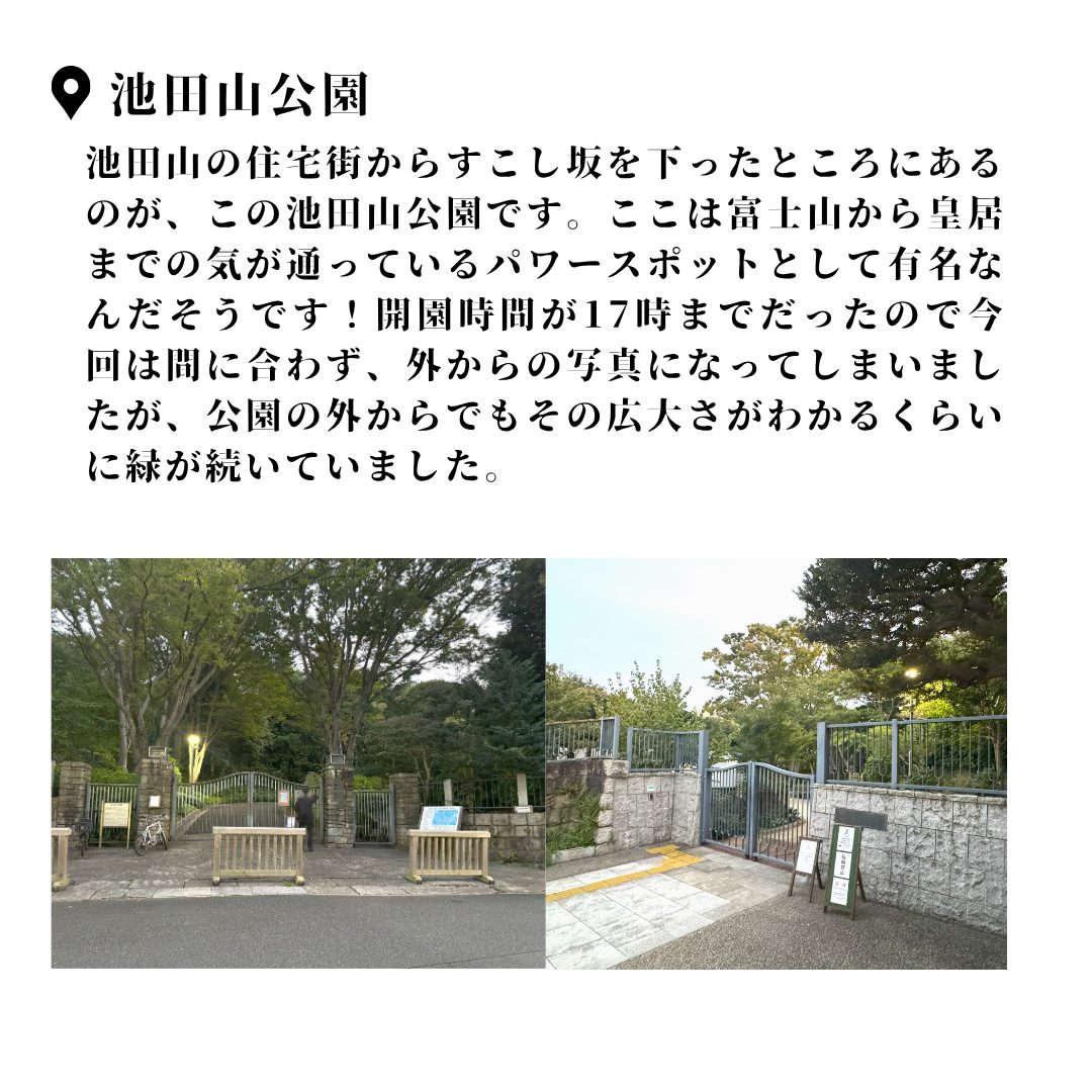 本文画像