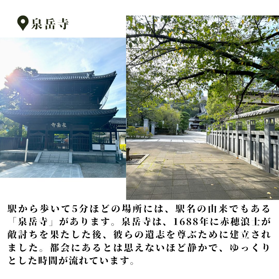 本文画像