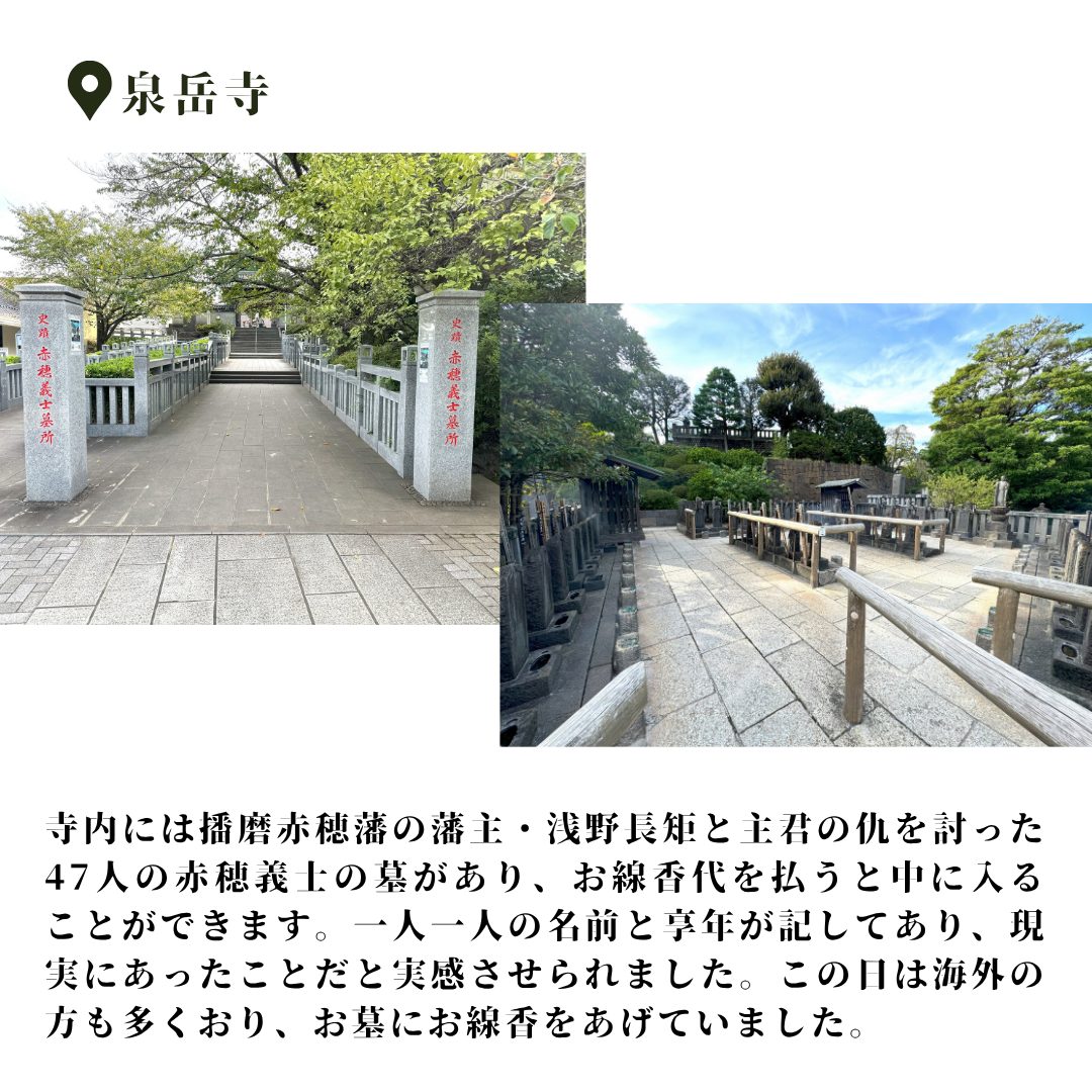 本文画像