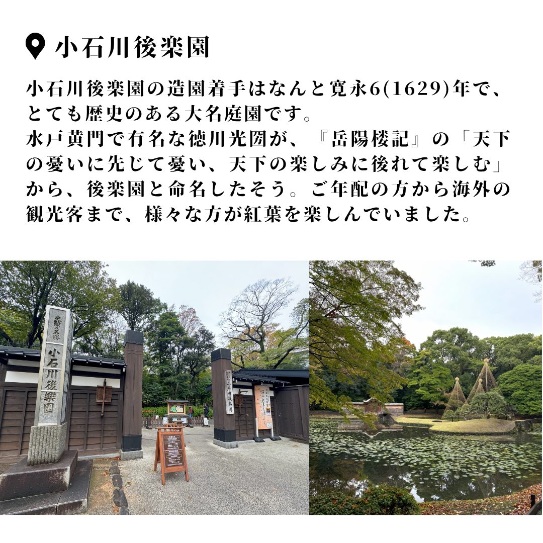 本文画像