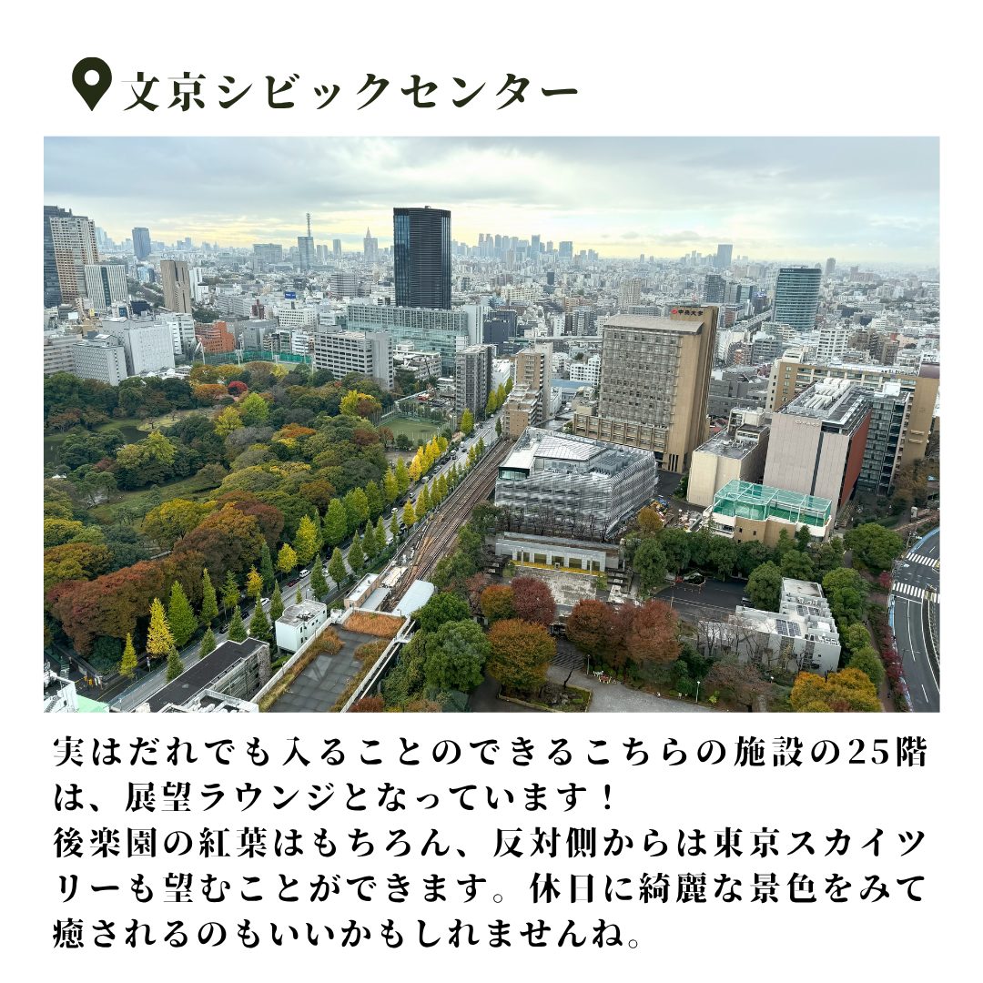 本文画像