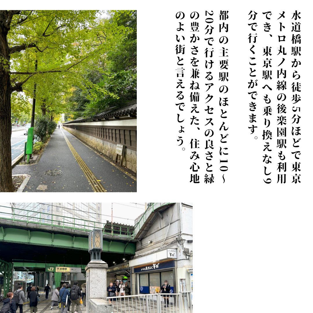 本文画像