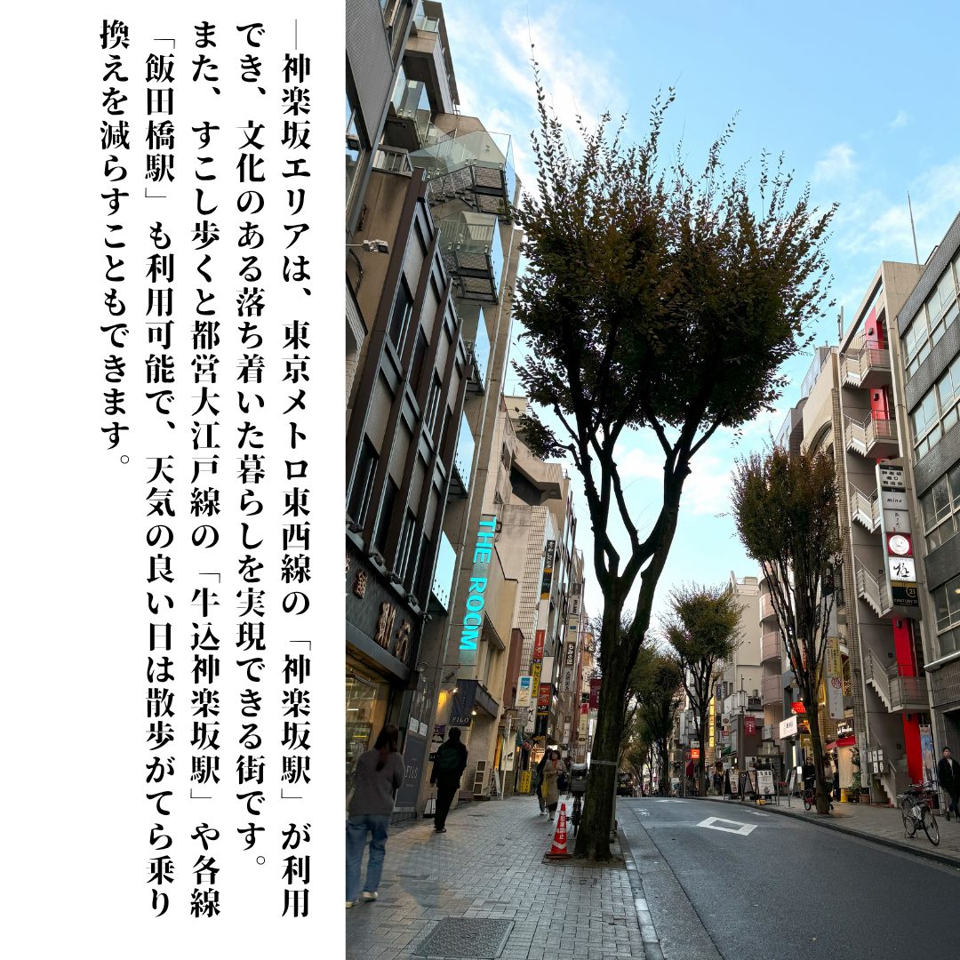 本文画像