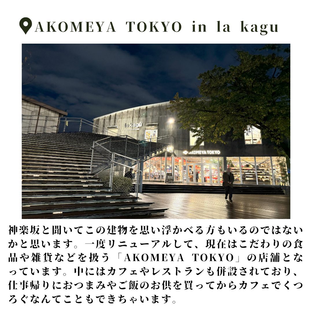 本文画像