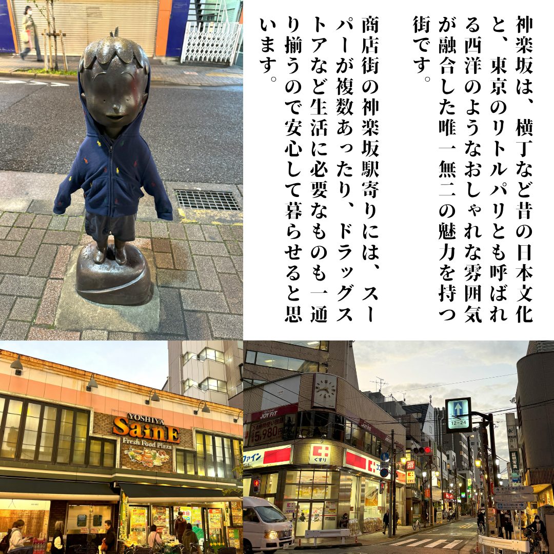 本文画像